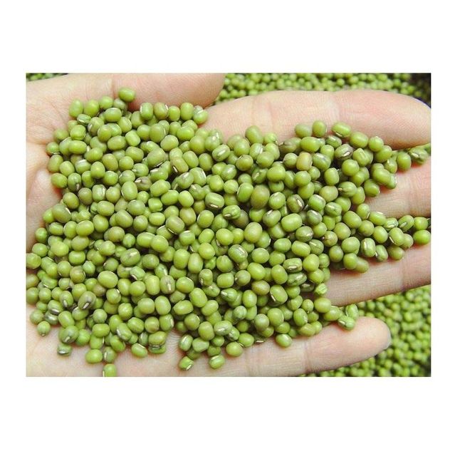 Mung Beans | Organic Green Mung Beans for Sprouting & Cooking - Image 2