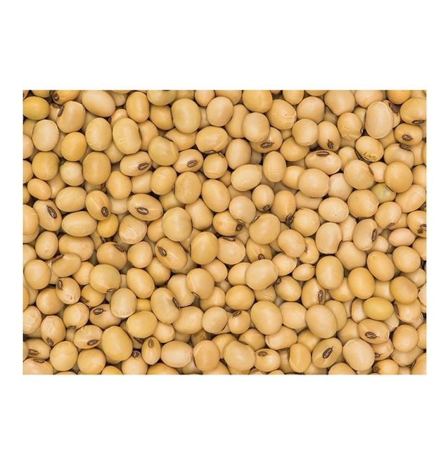High Protein Quality Soybean Meal / Soya Bean Meal for Animal Feed /Top Quality Organic Soybean meal 42% Protein - Image 5