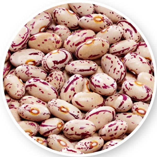 SPECKLED RED BROWN SUGAR BEANS - BULK PREMIUM GRADE - Image 2