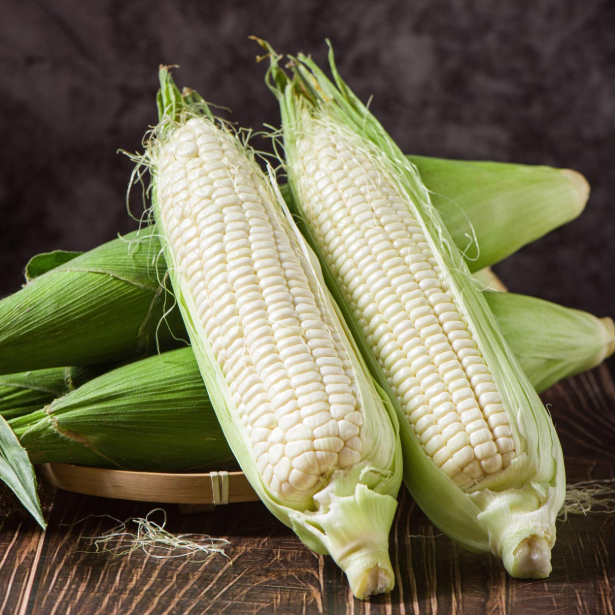 Fast Delivery Premium White Corn Maize Non Gmo 50kg Strong Packaging Clean White Kernels High Starch Content Ideal For Flour Production Feed And Export Trade Buy Now Wholesale Premium Quality - Image 5