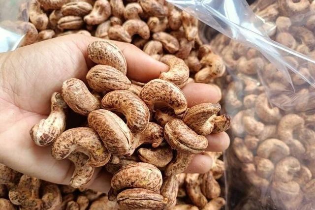 Hot Selling- Raw Cashew Nuts /Vietnamese Cashew Low Price - Wholesale Roasted Cashew Nut Export Free Taxes - Image 3