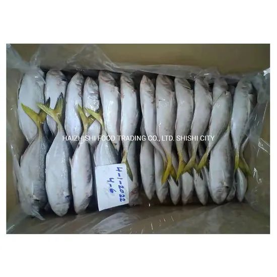 New Stock Oman Origin Frozen Yellow Tail Scad Fish Style Whole Processing BQF Trademark HEALSEA Origin Fujian, China Storage Temperature - Image 2