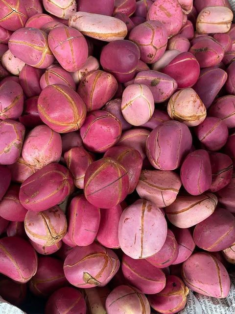 kolanut - Image 1