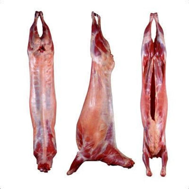 Special Offer High Quality Fresh and Frozen Goat Meat Whole Goat Leg Shoulder Cuts Bulk Supply for Buyers - Image 3