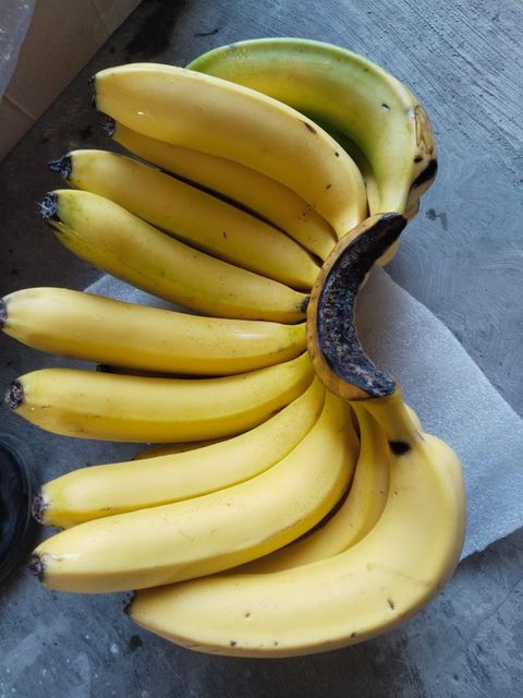 Fresh Premium Banana – Indonesian Fresh Banana, Grade Premium, Yellow Banana, Green Banana, FOB - Image 3