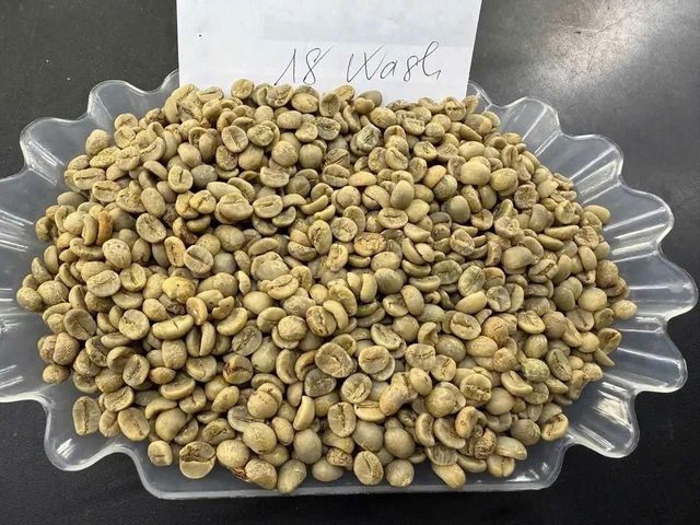 COFFEE Origin Vietnam Features Organic Product Type Other - Image 2