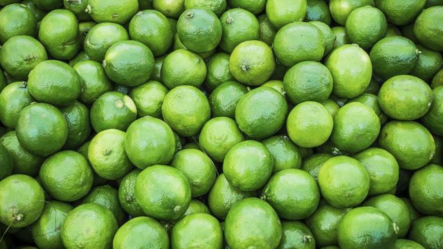 Lime Availability Available On Order Throughout The Year Growth Location Ugandan Tropical Mineral Rich And Fertile Soils Of East - Image 2