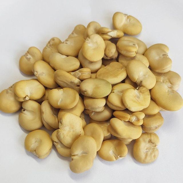 Peeled Whole Chinese broad beans fava beans without shell - Image 5