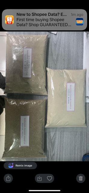 Dried Banana Powder - Image 1