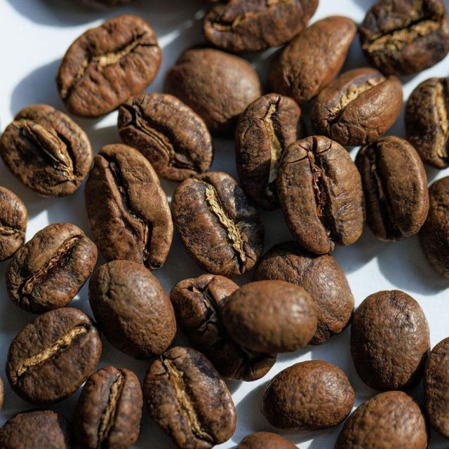 Organic Farm Harvest Delivers Robusta Coffee Beans For Specialty Coffee Suppliers With Careful Sorting - Image 2
