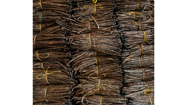 Vanilla Bean Grade A - Image 1