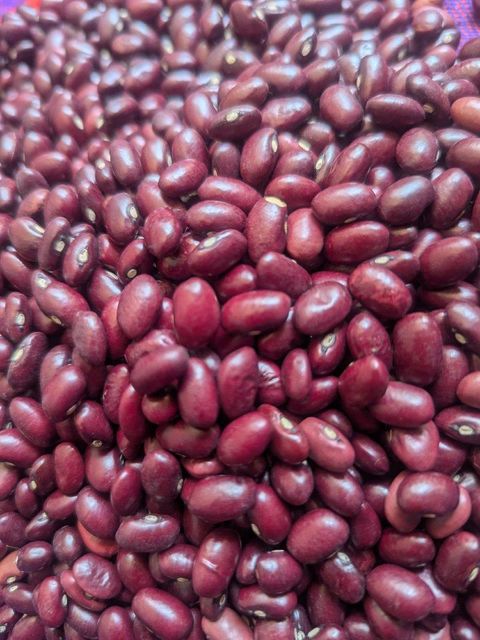 Light Red Kidney Beans (Small) Origin Tanzania Purity Level 98.5% Harvest Season 2025 Quality 98.5% Purity Max. Moisture (%) 14% - Image 2