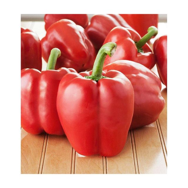 Premium quality red capsicum supplied at factory price with fast delivery - Image 4