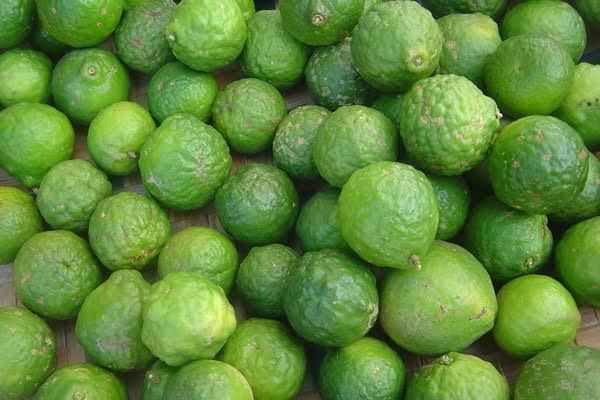 Fresh Lemon Origin Uganda Quality Grade Grade A Minimum Order Quantity 500kg Storage Temperature 4°c Or Below Packaging Nylon Bag - Packed, 100kg Per - Image 1