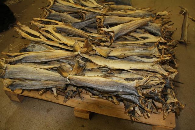 Quality Grade A Dried StockFish for sale / Frozen Stock Fish/DRIED STOCK FISH FOR SALE. DRIED STOCK FISG COD /NORWAGIAN – product photo 4, product detail gallery