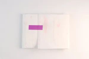All-Day and Night Protection Sanitary Napkin Combo Pack - Image 1