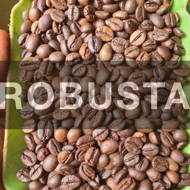Pull’s Coffee E2 Espresso Blend – Vietnamese Ground Coffee, 80% Robusta & 20% Arabica - Image 4