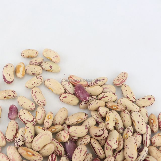 Pinto Beans Organic Dried Light Speckled Kidney Beans Sugar Beans - Image 6