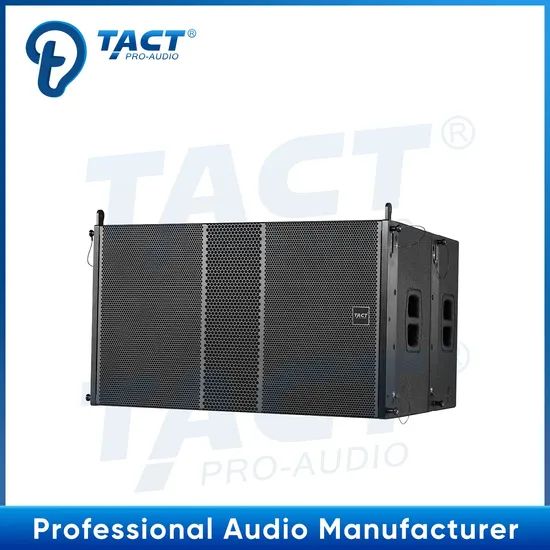 Tact Dual-10 Inch Line Array Professional PA Line Array Speaker Set Systems - Image 4