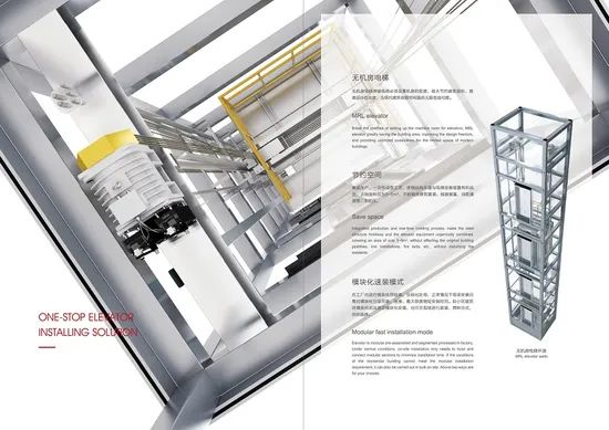 Syney Promotion High Quality Compact Structure Villa Elevator for Existed Constructions - Image 2
