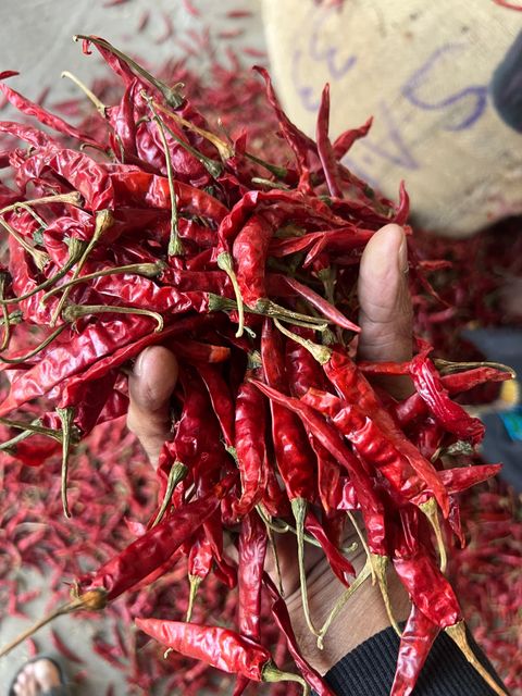 DRIED RED CHILLY - Image 3