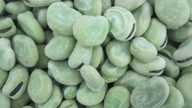 Wholesale IQF Frozen Peeled Broad Beans Grade A - Image 2