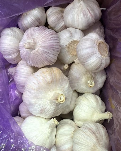 Fresh Chinese White Garlic 4.5–6.5cm – Bulk Premium Cooking Garlic - Image 6