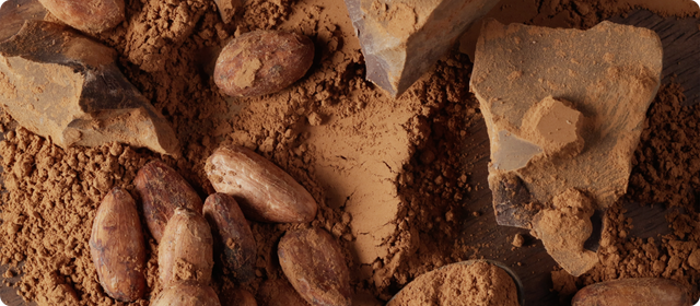 Cocoa Butter - Image 4