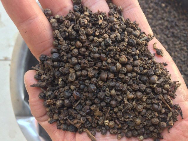 Spices black pepper Dried Bulk Black Pepper Premium Quality Made in Viet Nam Factory Price - Image 5