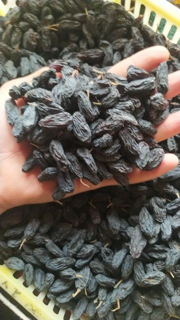 raisins - Image 3