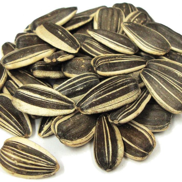 Sunflower Seed - Image 3