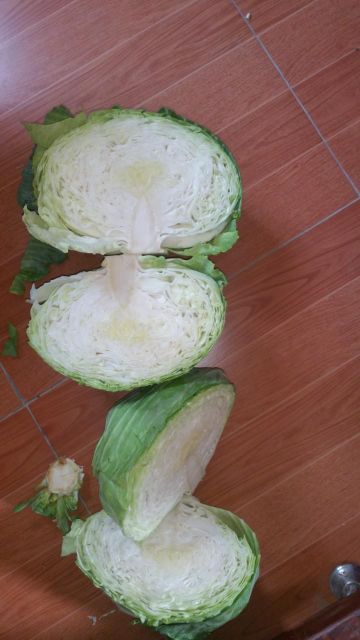 Agritec Fresh Cabbage: Crisp, Naturally Grown, and Vitamin-Rich – product photo 3, product detail gallery