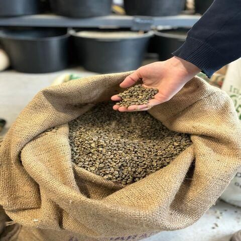 Guatemala Premium Green Unroasted Raw Specialty Coffee Beans Farm Direct Sale, - Image 1
