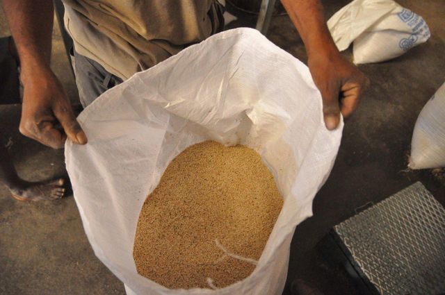 100% Sesame Seeds For Sale - Image 3