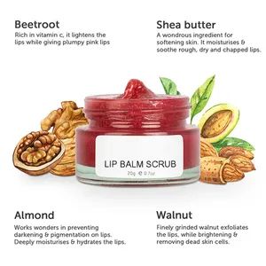 Custom Label Packing Lip Clean Organic Fruit Exfoliating Lip Scrub - Image 3
