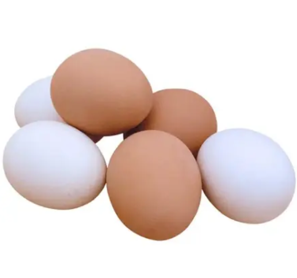 Top Quality White Egg for Sale - Image 2