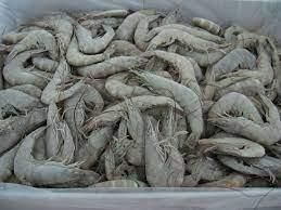 Frozen vannamei shrimp - Image 4