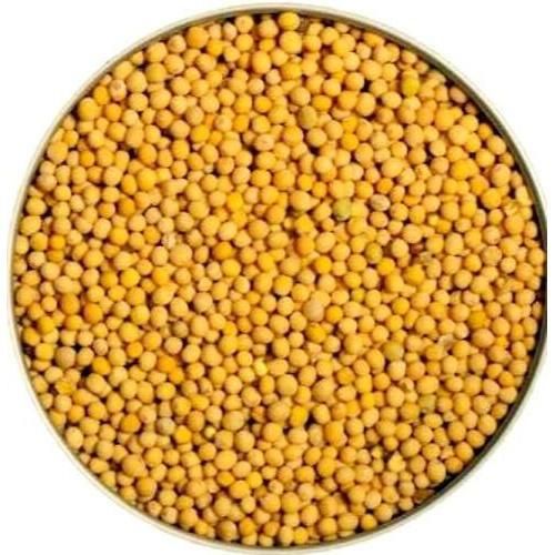 High Quality Good Price Of Dried Top Yellow And White Mustard Seeds Mustard Seed Wholesale Cheap Price From Bangladesh - Image 5