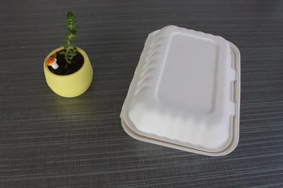 Disposable 9 X 6 X 3 Food Takeaway Box Sugarcane Food Container Tableware - Image 3