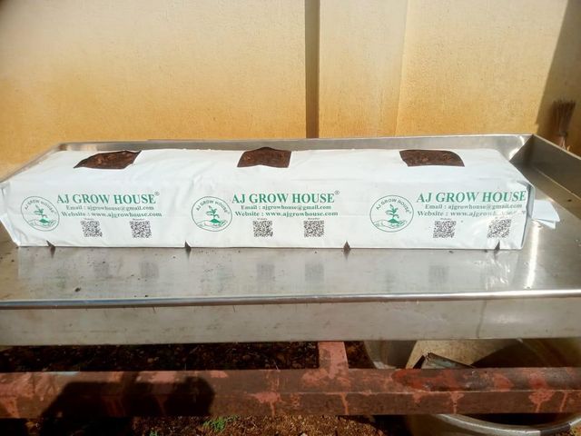 Coco Peat & Coir Pith Grow Bags 100x15x15 ,100x18x18 ,100x20x15 - Image 1