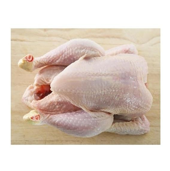 Whole Chicken Frozen / Halal Chicken Feet / Frozen Chicken Paws Brazil - Image 2
