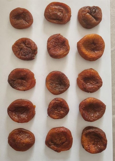 Organic Dried Apricots – Uzbekistan Origin | BIO Certified | Industrial & Retail Grade - Image 4