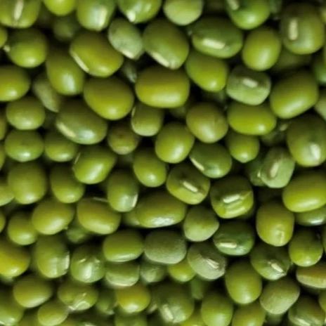 Green Mung Bean Size 3.5 Style Fresh Weight (kg) 25 Type Green Beans Brand Name Custom Address Bangladesh Shelf Life 2 - Image 1