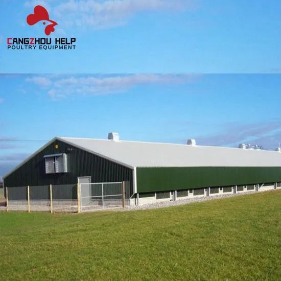 Modernization Steel Structure Building Chicken Coop for Poultry Farming - Image 4