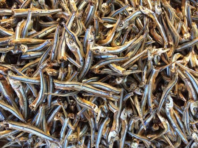 Dried Anchovies Tanzania Wholesale - Premium Quality Export - Image 4