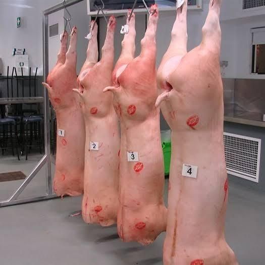 Natural Frozen Whole Pork Carefully Processed Rich Texture Excellent Wholesale Price For Commercial Meat Supply - Image 2