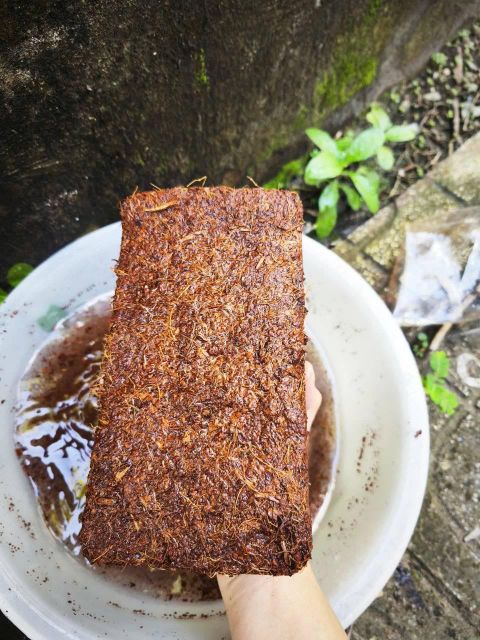 Coco Coir Peat Block 5kg Washed Dewatered Coconut Coir Brick Bulk Export Supply 5kg coco coir block bulk - Image 5