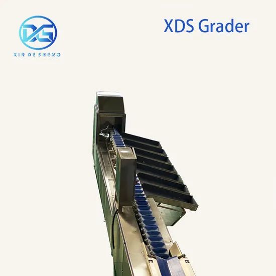 Persimmon Sorting Machine for Fruit Washing Packing Origin China Power 3.75kw Model NO. 0201 HS Code 84223000 Voltage - Image 4