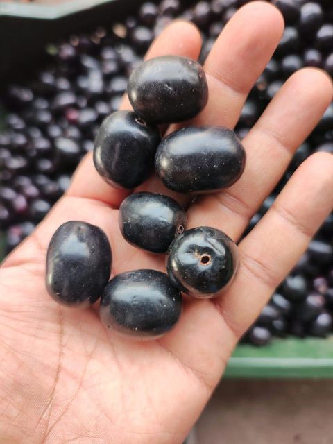 G4 Green Chilli, Mangoes, Indan Blackberries (Seasonal), Onions, Rice, Foxnuts, etc. - Image 2
