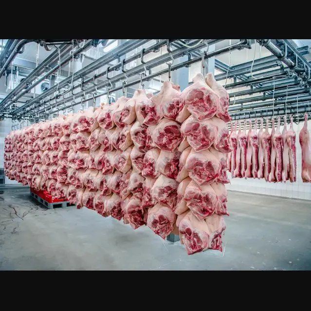 Frozen Pork Body Sourced and Delivered Cleaned and Ready for Use - Image 6